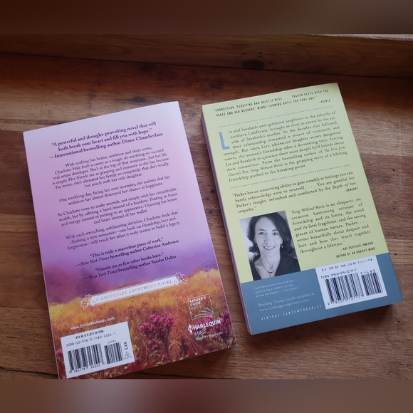 BOOK BUNDLE - ONE MOUNTAIN AWAY & SONGS WITHOUT BIRDS - FICTION - 2 TOTAL - Picture 2 of 11